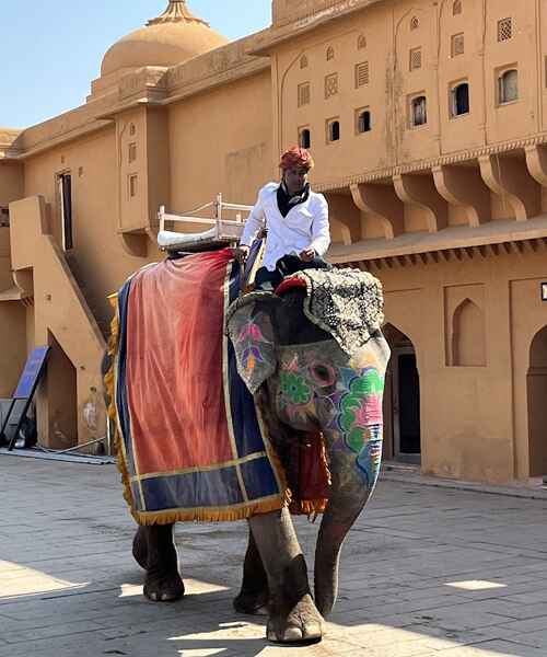 Golden Triangle Tour with Udaipur