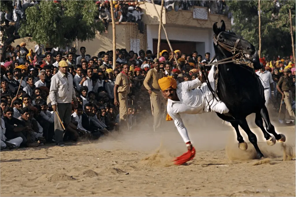 Hourse Pushkar Mela