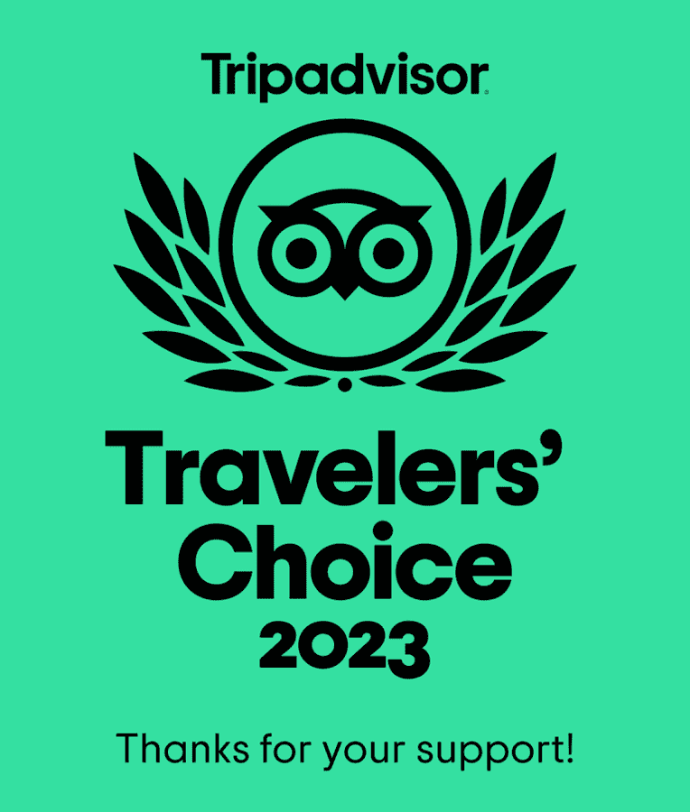 Trip Advisor 2023