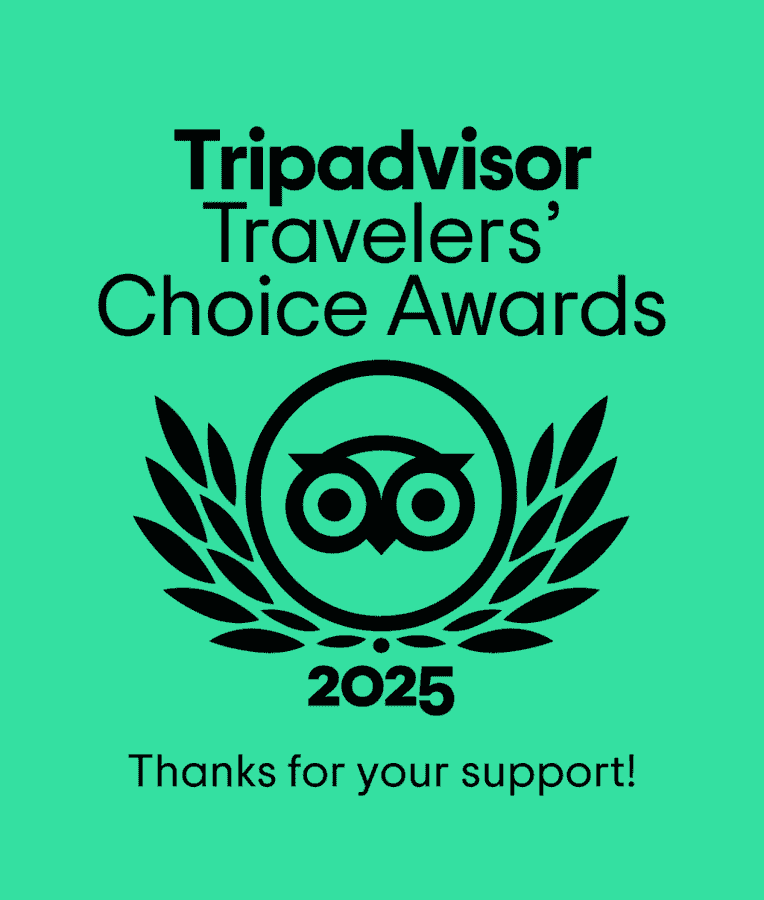 Trip Advisor 2025
